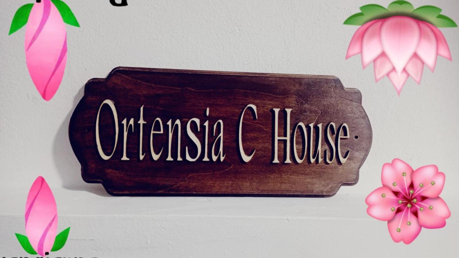 Ortensia C House Villa Catania Exterior foto